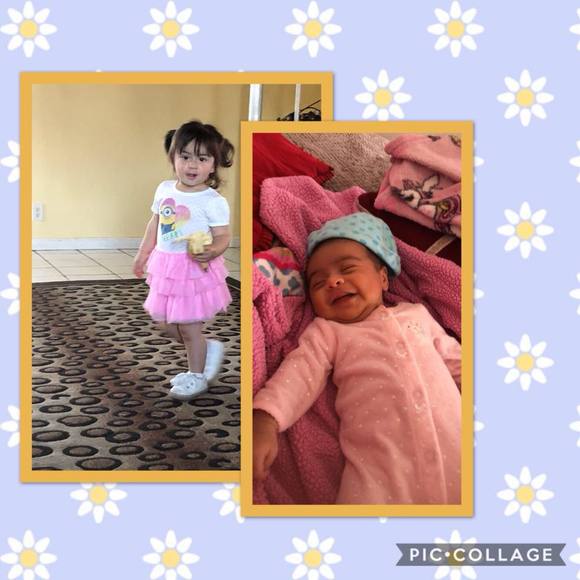 Meet your Posher, Ruby - Picture 1 of 1